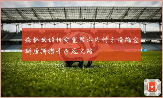 森林狼的传奇重聚加内特乐福维金斯唐斯携手夺冠之路